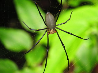 parque nacional tayrona santa marta costa del Caribe biodibersidad