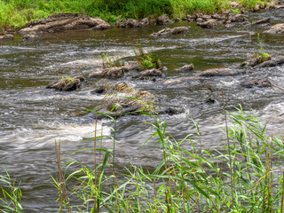 Fototapeta na wymiar Reeds to Rapids