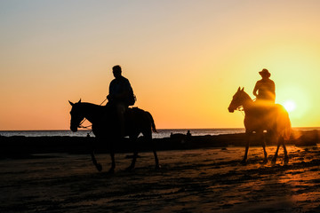 silhouette of people riding horses on beach at sunset