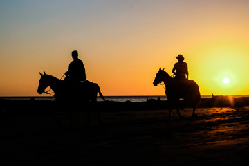 Fototapeta na wymiar silhouette of people riding horses on beach at sunset
