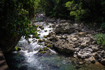 Nature
