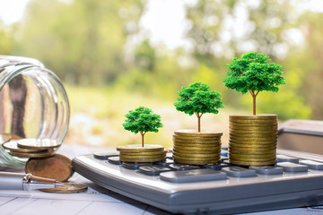 Plant trees on coins and calculators, financial accounting concepts and save money.