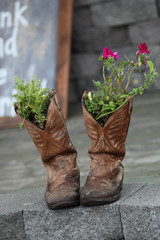 old boots and flowers