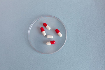 petri dish with pills on a colored background