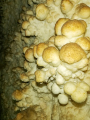 formaciones geológicas en una gruta o caverna