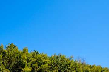 【写真素材】 青空　山　森林　田舎　春の空　背景　背景素材　3月　コピースペース