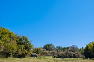 【写真素材】 青空　山　森林　田舎　春の空　背景　背景素材　3月　コピースペース