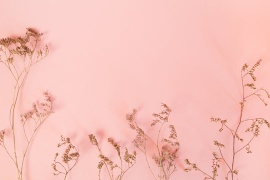 Pink Dried Petals 