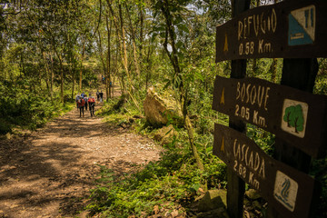 Sendero ecológico Parque Natural Chicaque, Cundinamarca. Colombia