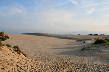 sand dunes