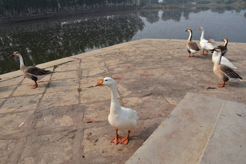 インドのカジュラーホー　世界遺産のカジュラーホー寺院　ヒンドゥー教の物語を表した繊細な彫刻
