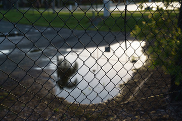 Reflection