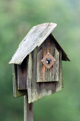 Bird in birdhouse 