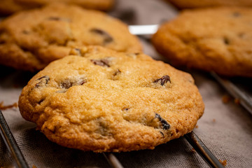 Baked chocolate chip cookies
