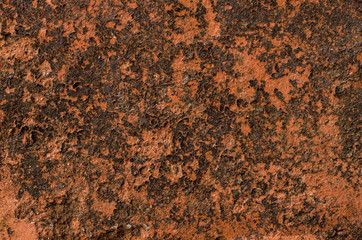 Clay Dried Moss Cracked Texture