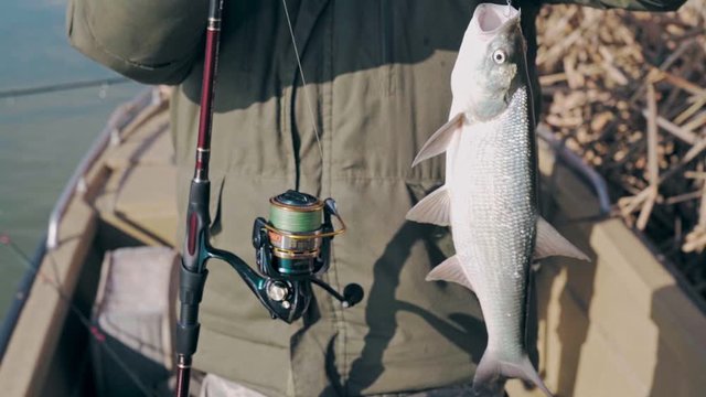 Fisherman shows caught predatory fish