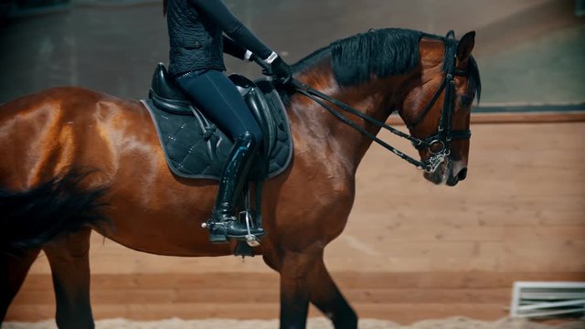 A woman riding a brown horse on the hippodrome