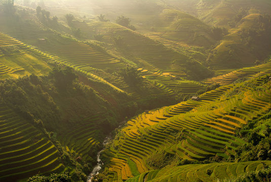 Rice Field Terrace with Sunrise, Xa Lao Chai, Mu Cang Chai, North Vietnam