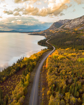 The remarkable, stunning, autumn, fall landscape of Yukon Territory in Northern Canada.  Drone, aerial woods, lake shot.