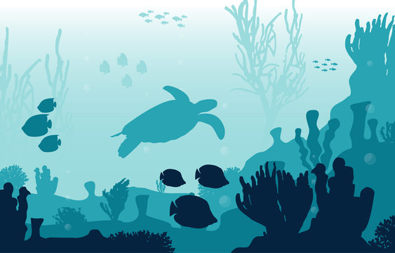 Turtle Fish Marine Animals Coral Reef Underwater Sea Ocean Illustration