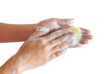 Fototapeta premium hand of beauty woman wash your hands at the wash basin with foam, cleanse the skin .Health and beauty concepts.on isolated white background