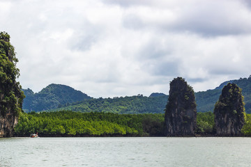 Mangrove forest scenery at Ao Luek, Krabi, Thailand.