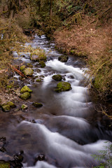 McDowell Creek Oregon Cascades