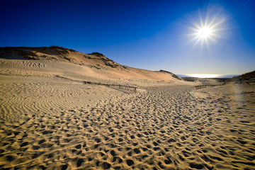 View of nordic sand dunes against low sun at Curonian spit, Nida, Klaipeda, Lithuania