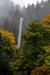 Long exposure of aMultnomah waterfalls, Oregon, USA, in the Autumn, featuring yellow colors and coniferous trees in the fog
