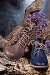 Still Life WIth Shoes