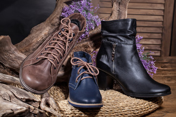 Still Life WIth Shoes