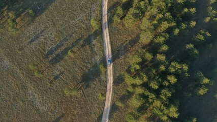 Aerial top down view of car driving on rural road, path near forest. Sunrise in village Grahovo, Montenegro. Countryside. Rural landscape.