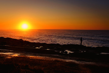 Sunset evening at Shore Acres Winchester Oregon Coast