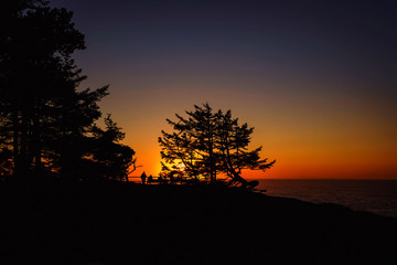 Fototapeta premium Sunset evening at Shore Acres Winchester Oregon Coast