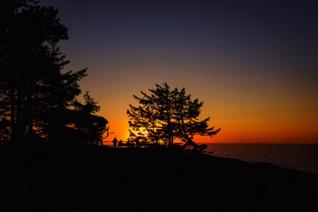 Obraz na płótnie Canvas Sunset evening at Shore Acres Winchester Oregon Coast