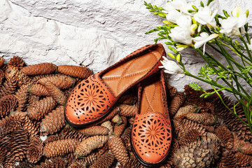 Still Life With Shoes