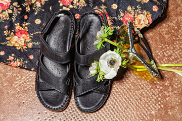 Still Life With Shoes