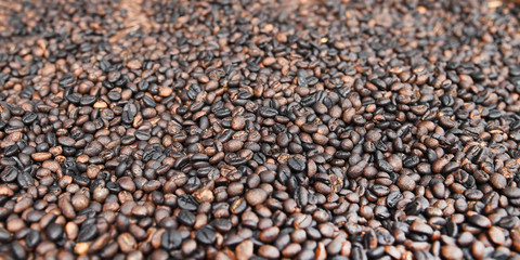  Close up of coffee beans for background                                  
