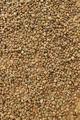  Close up of coffee beans for background                                  