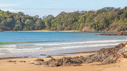 Whale Bay Beach in New Zealand © David_Steele