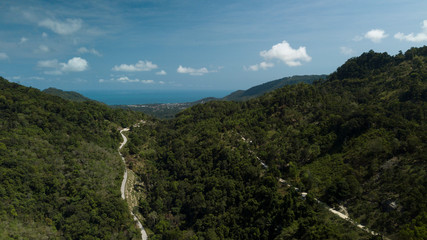 Aerial photo of dense jungle at Koh samui Island in Thailand