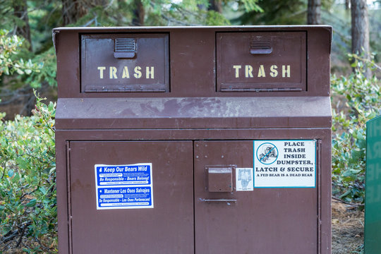 Bear proof disposal bin in a shaded day use area at lake tahoe