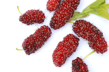 Mulberries fruit isolated on white background, selective focus