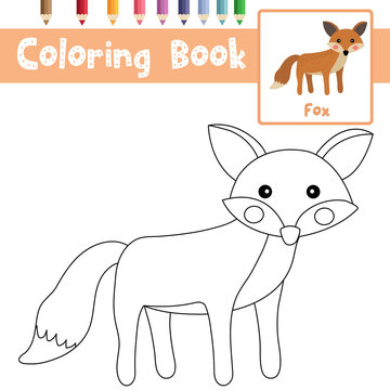 Coloring page Fox animal cartoon character vector illustration