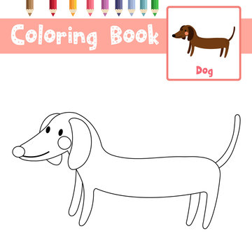 Coloring page Side view Dachshund animal cartoon character vector illustration