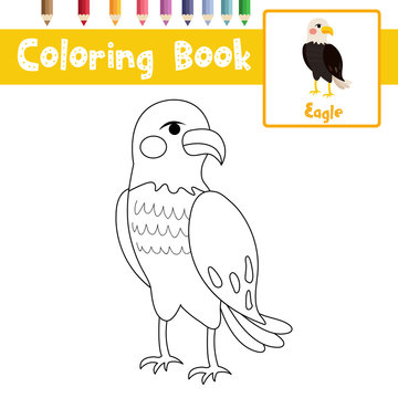 Coloring page Standing Eagle animal cartoon character vector illustration