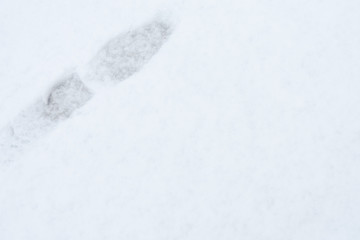 Fototapeta na wymiar 雪と足跡