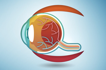 Eye illustration in medical concept - 3d rendering