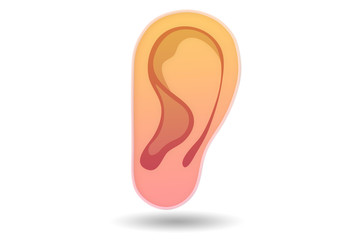 The human ear in medical concept - 3d rendering