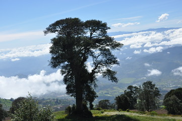 Agricultural slopes of the volcano Irazu in Costa Rica with fertile soil and numerous crops on...
